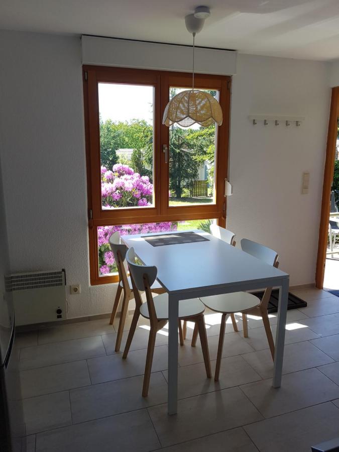 Feriendomizil Am Zeulenrodaer Meer Zadelsdorf Εξωτερικό φωτογραφία